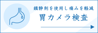 胃カメラ検査